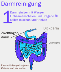 Darmsanierung Anleitung Fur Zu Hause